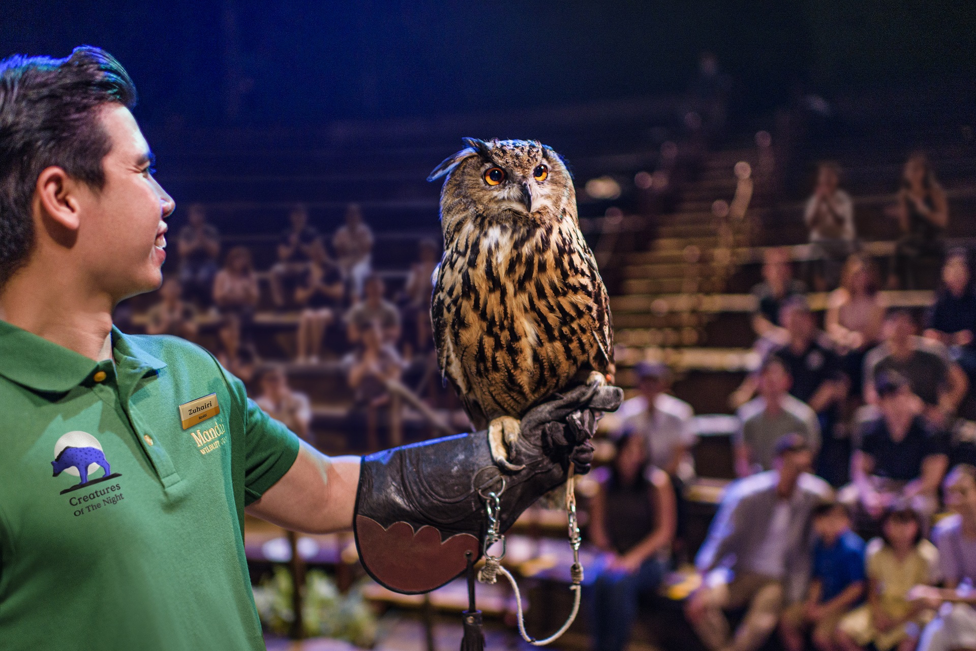 パンダバス指定席にて、可愛い動物たちのアニマルショー「 クリーチャー・オブ・ザ・ナイト」を鑑賞（約30分）